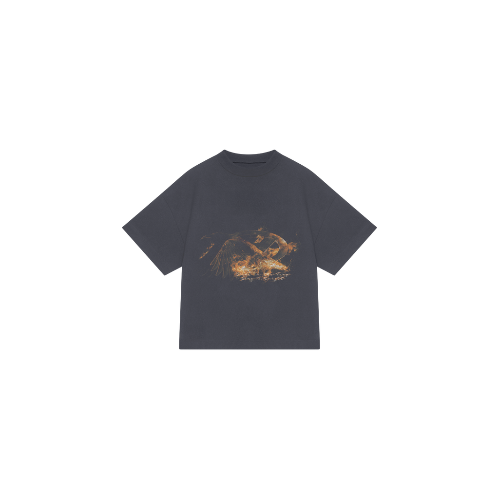 T-SHIRT TRAVIS CHARCOL