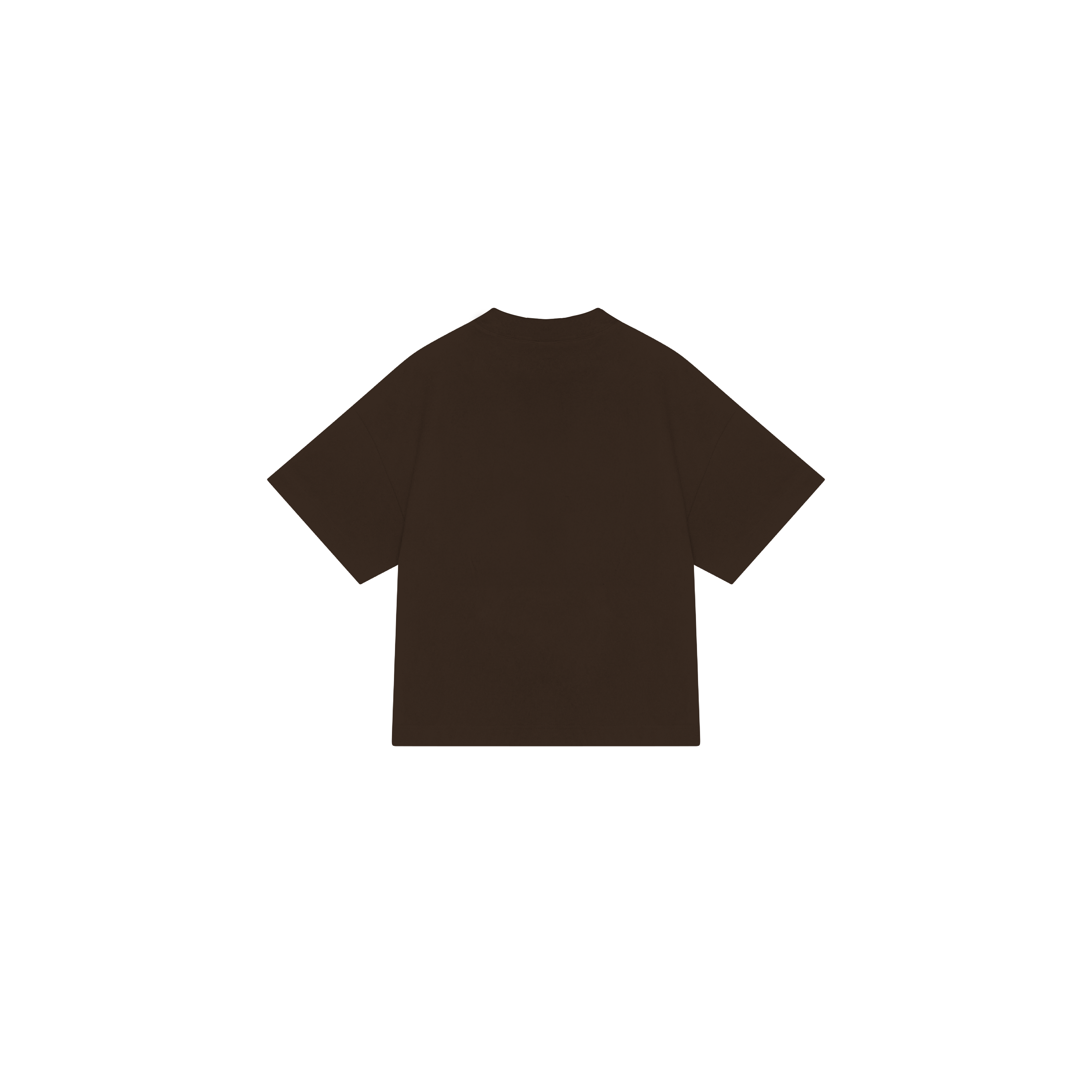 T-SHIRT BROWN BASIC